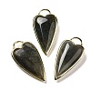Natural Labradorite Pendants G-K347-01G-04-1
