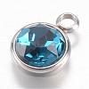 304 Stainless Steel Glass Rhinestone Charms STAS-G082-04-2