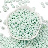 Baking Paint Glass Seed Beads SEED-C003-02I-2