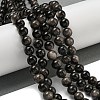 Natural Silver Obsidian Beads Strands G-S150-20A-10MM-2
