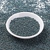 MIYUKI Round Rocailles Beads X-SEED-G007-RR2008-3