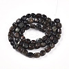 Natural Biotite Beads Strands G-N346-04A-02-3