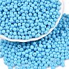 Opaque Baking Paint Glass Beads DGLA-T004-03A-3