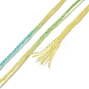 10 Skeins 6-Ply Polyester Embroidery Floss OCOR-K006-A22-3