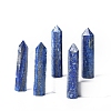 Tower Natural Lapis Lazuli Home Display Decoration PW-WG20981-30-1