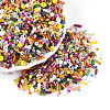 Mixed Electroplate and Non-electroplating Glass Seed Beads GLAA-SZC0007-02C-3