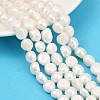 Natural Cultured Freshwater Pearl Beads Strands PEAR-P064-20L-01A-1