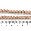 Natural Rainbow Alashan Agate Beads Strands G-NH0022-A03-01-5