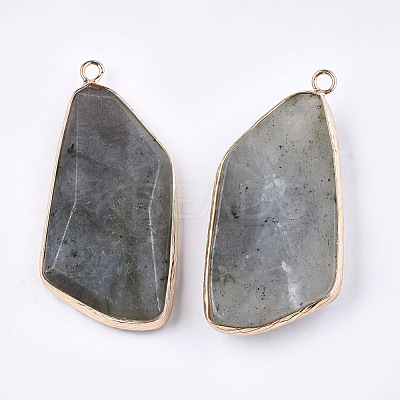 Natural Labradorite Pendants G-T112-20B-1