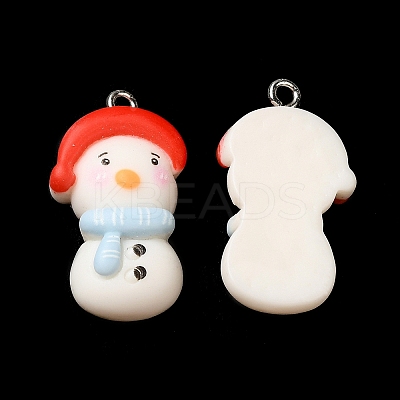 Opaque Resin Pendants LS-RESI-R440-05-1