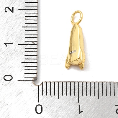 925 Sterling Silver Pendants STER-Z012-04G-02-1