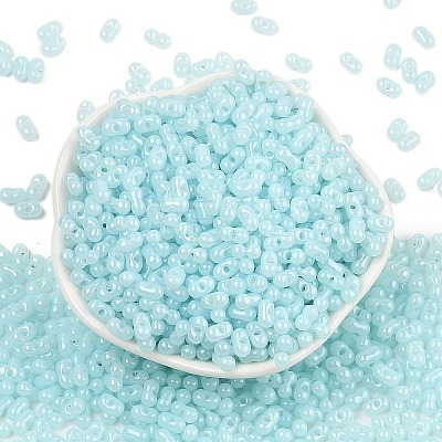 Baking Paint Glass Seed Beads SEED-L011-09A-08-1