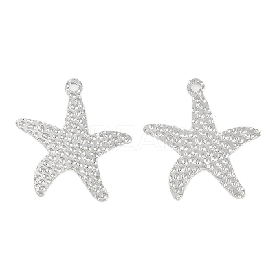 Non-Tarnish 304 Stainless Steel Pendants STAS-C106-04P-1