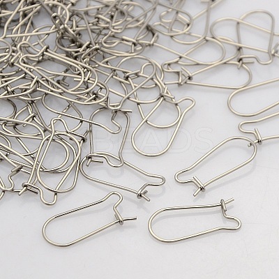 Tarnish Resistant 316 Surgical Stainless Steel Hoop Earrings STAS-N019-08-1