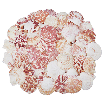500G Natural Shell Ornaments DJEW-FH0001-35A-1