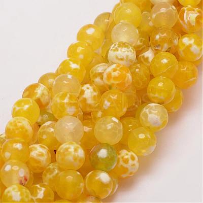 Natural Fire Crackle Agate Bead Strands G-G882-10mm-B05-5-1