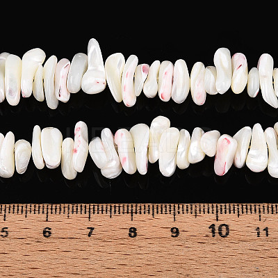 Natural Trochid Shell/Trochus Shell Beads Strands SSHEL-T017-29-1