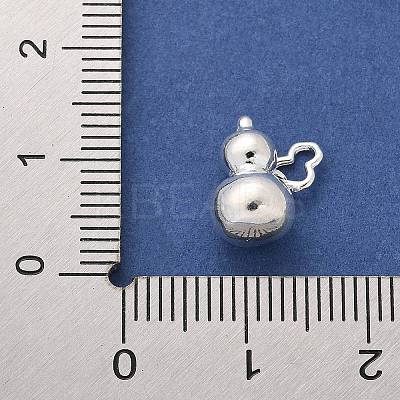925 Sterling Silver Solid Gourd Charms STER-D300-07S-1