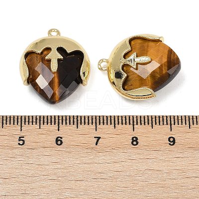 Natural Tiger Eye Faceted Pendants G-K347-09G-02-1