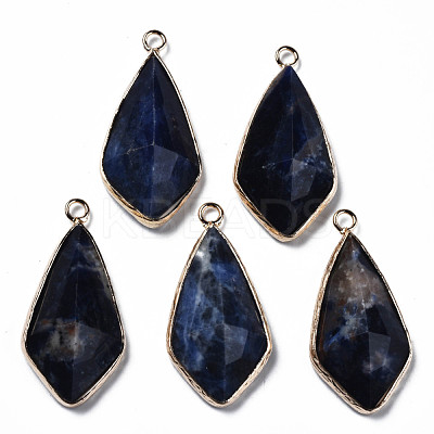 Natural Sodalite Charms G-Q998-029F-1