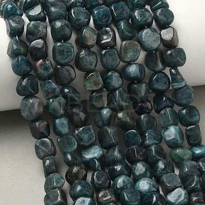 Natural Apatite Beads Strands G-R445-8x10-24A-1