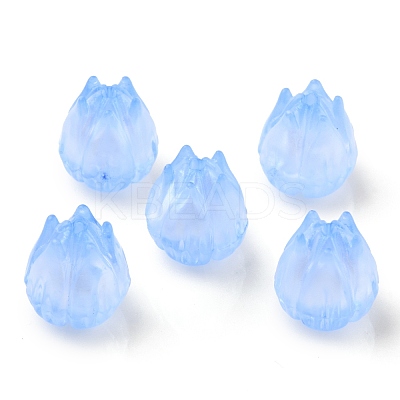 Transparent Acrylic Beads OACR-K005-13-1