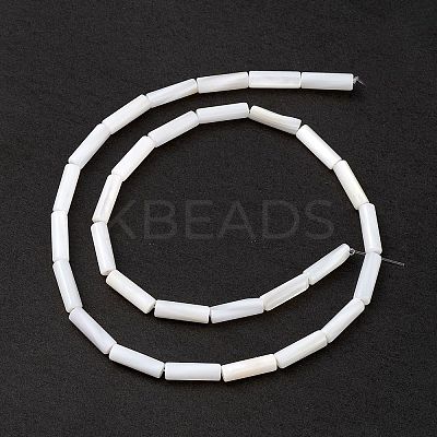 Natural Freshwater Shell Beads Strands X-SHEL-M018-10-1