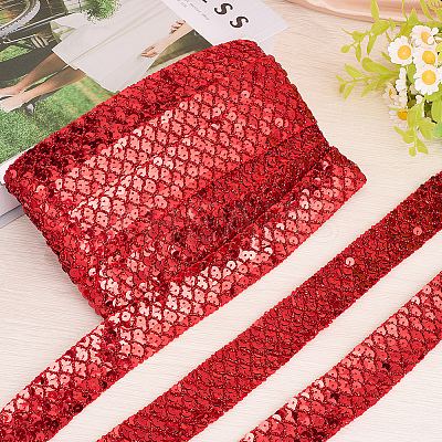 Polyester with PT Paillette Lace Trim Ribbon OCOR-WH20073-01A-1