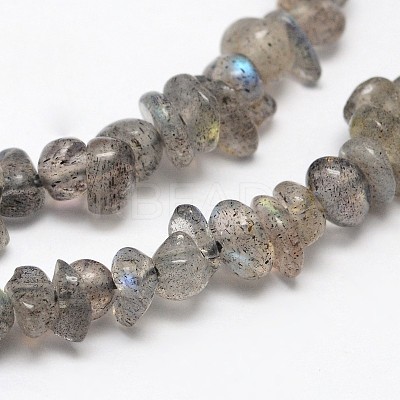 Chips Natural Black Larvikite Beads Strands X-G-N0164-61-1