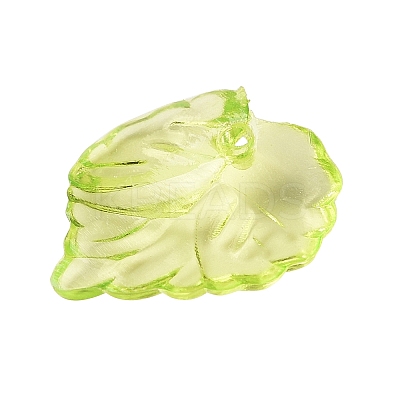 Transparent Acrylic Pendants DBLA410-9-1