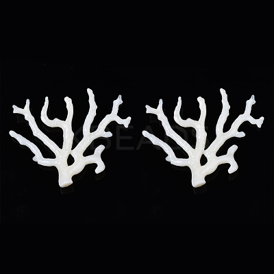 Acrylic Big Pendants OACR-N131-010B-B02-1