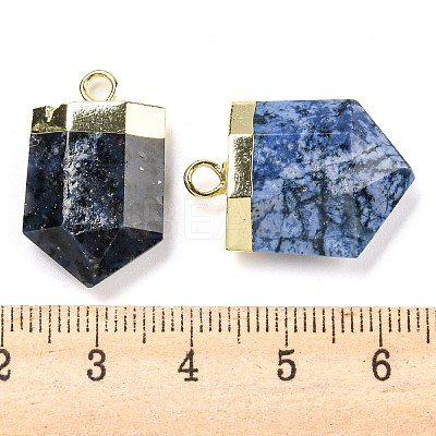 Natural Sodalite Pointed Pendants G-M431-05G-07-1