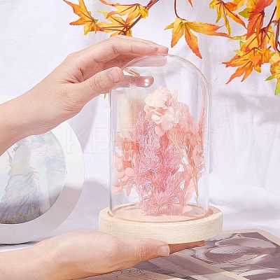 Glass Dome Cover ODIS-WH0010-41B-1