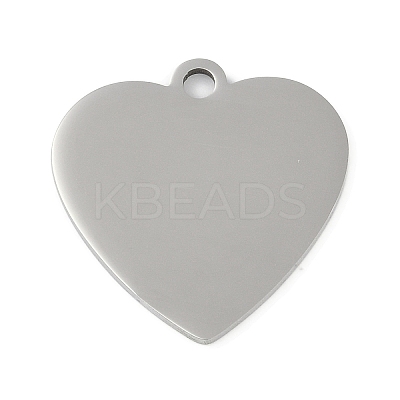 Non-Tarnish 304 Stainless Steel Pendants STAS-L279-005P-1