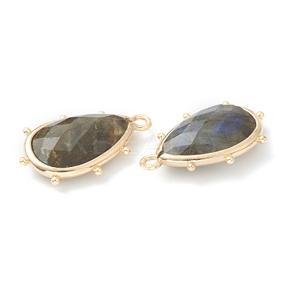 Natural Labradorite Pendants G-B009-02G-G-1
