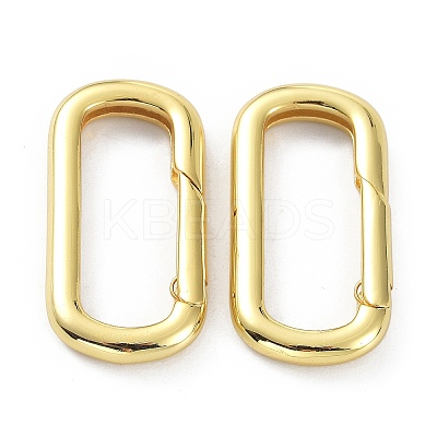 Brass Keychain Clasps X-KK-B046-01G-1