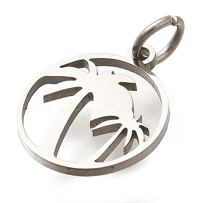 304 Stainless Steel Charms STAS-Z119-16P-1