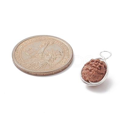 Natural Rudraksha Copper Wire Wrapped Pendants PALLOY-JF02066-01-1