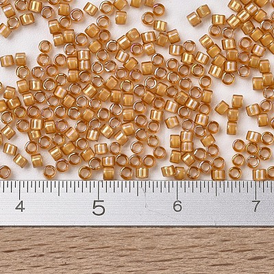 MIYUKI Delica Beads X-SEED-J020-DB1778-1