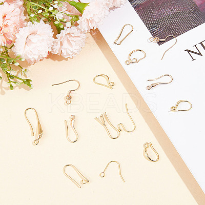 40Pcs 10 Styles Brass Earring Hooks DIY-GO0001-18-1