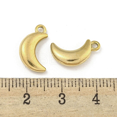 Ion Plating(IP) 304 Stainless Steel Charms STAS-I307-537G-1