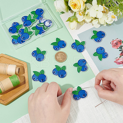 24Pcs Blueberry Computerized Embroidery Cloth Iron On/Sew On Patches PATC-BC0001-24-1