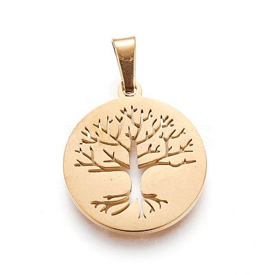 304 Stainless Steel Pendants STAS-P234-37G-1
