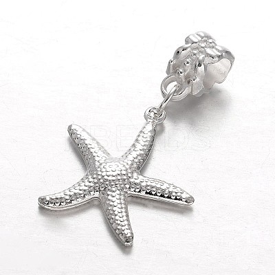 Alloy European Dangle Charms MPDL-E045-10-1