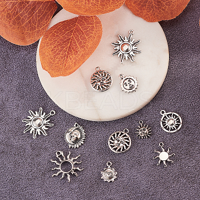 100Pcs 10 Styles Tibetan Style Alloy Charms TIBEP-CJ0001-59-1