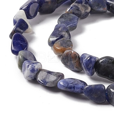 Natural Sodalite Beads Strands G-E115-01-1