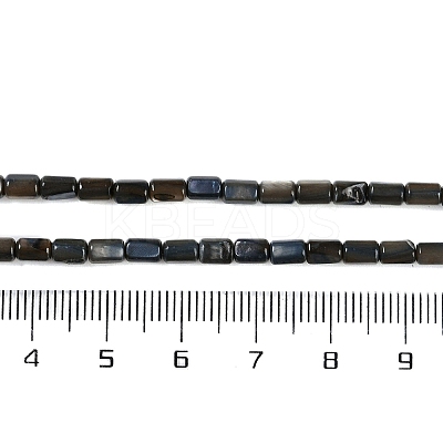 Natural Freshwater Shell Beads Strands BSHE-H109-17E-1