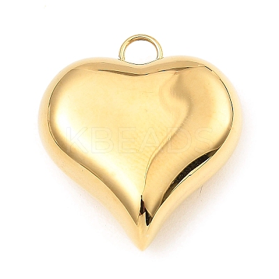 304 Stainless Steel Pendants LS-STAS-A089-01A-G-1