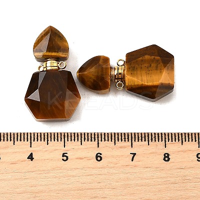 Natural Tiger Eye Perfume Bottle Pendants G-L623-12G-01-1