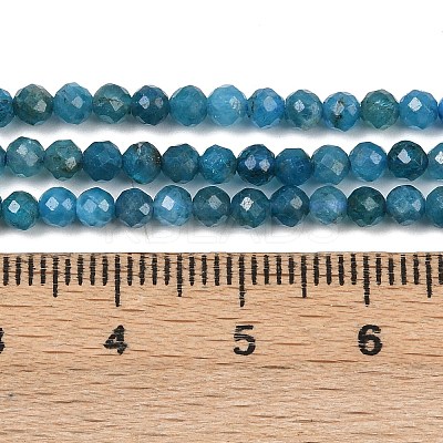 Natural Apatite Beads Strands X-G-E411-36-3mm-01-1